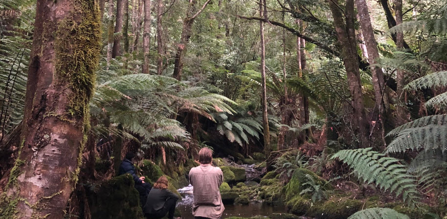People standing and sitting on the edge of a stream in a Tasmanian raiforest looking upstream away from the camera